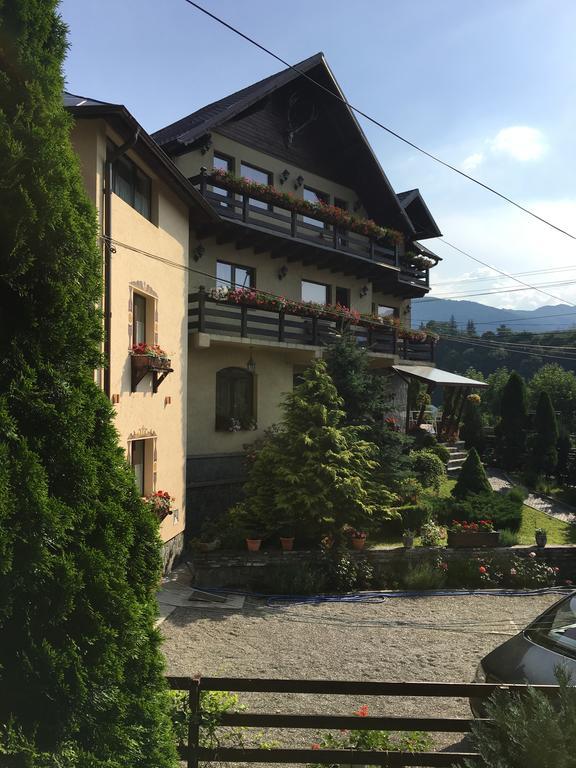 Pension Casa Ali & Andu Буштені Екстер'єр фото