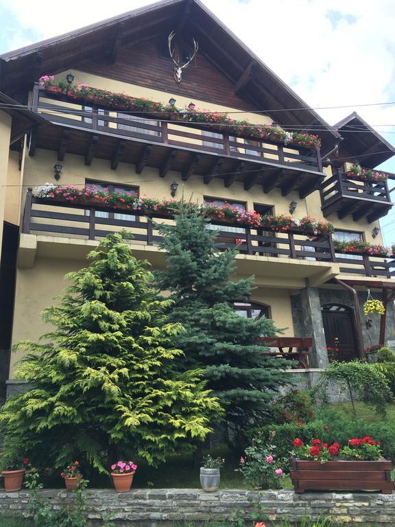 Pension Casa Ali & Andu Буштені Екстер'єр фото